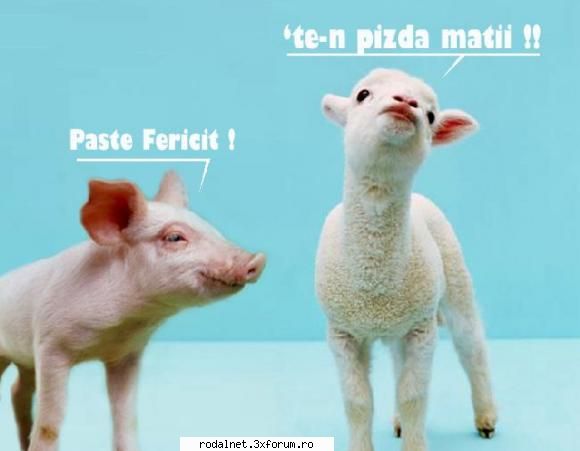 Poze Diverse/amuzante - Belea baietzi...hai sa va pun si eu o poza...sper - Poze/Photos.