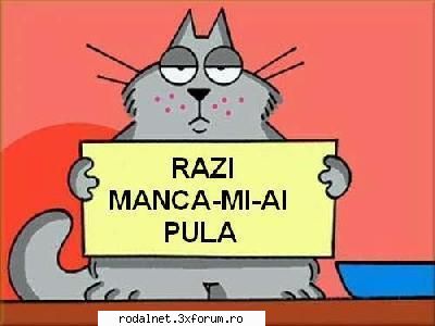 Poze Diverse/amuzante - Razi de mori :)) - Poze/Photos.